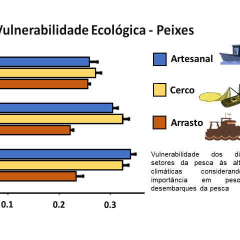 Image Not Found On Media Library