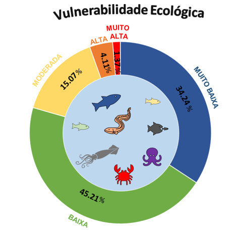 Image Not Found On Media Library