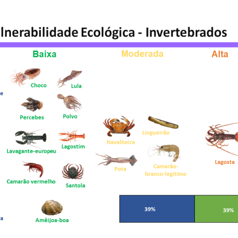 Image Not Found On Media Library